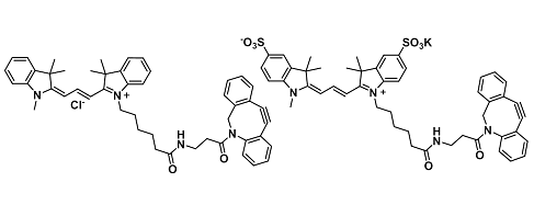 Cyanine DBCO